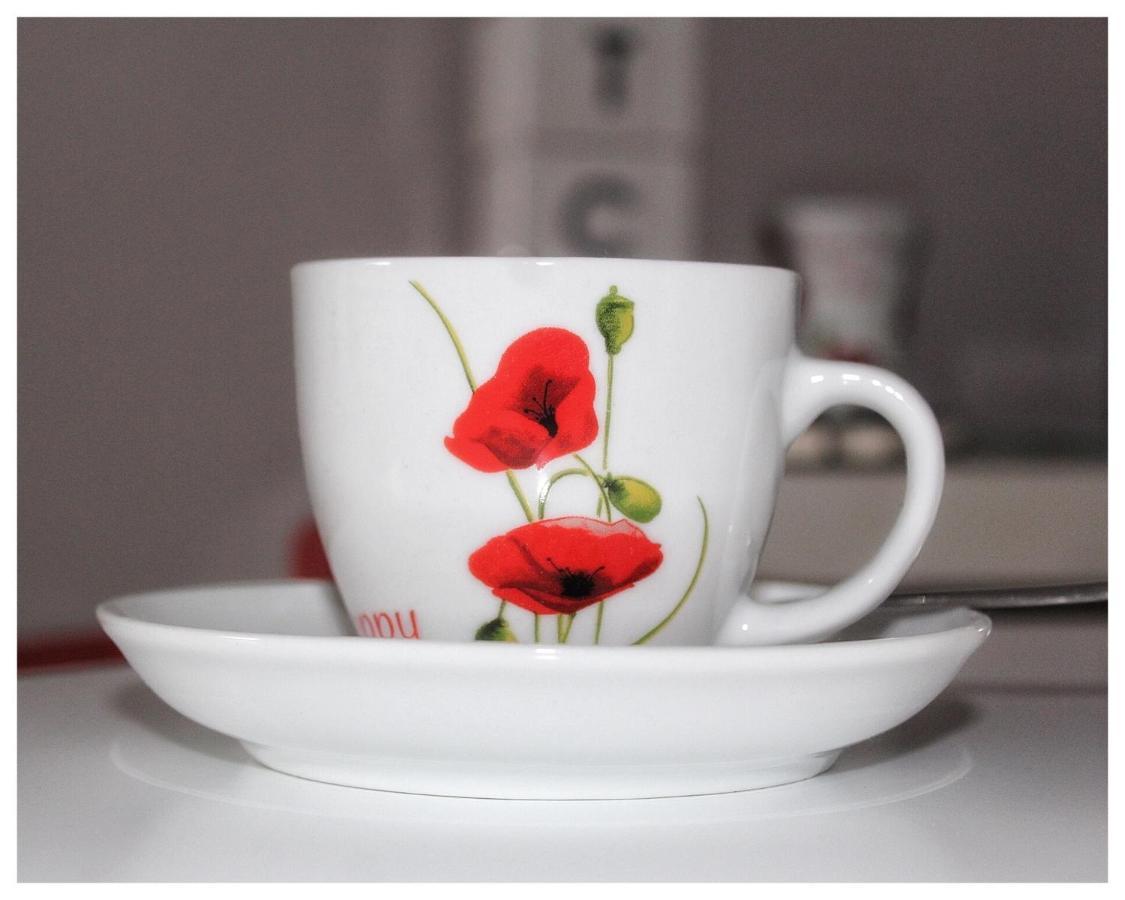 Flanders Fields Apartman Dingwall Kültér fotó