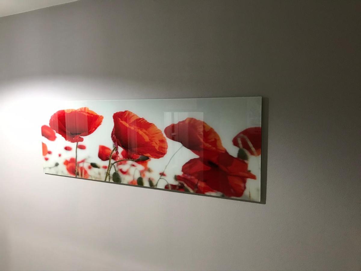 Flanders Fields Apartman Dingwall Kültér fotó